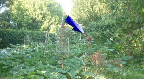 Cuve IBC 1000 Litres bien occultée