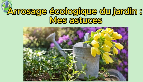 arrosage écologique du jardin