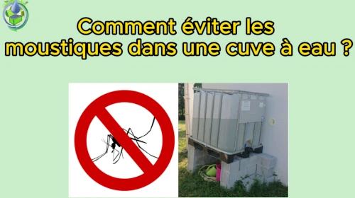 éviter les moustiques dans sa cuve à eau