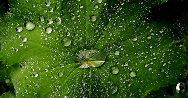 Récupérer de l’eau de pluie sans toit ou sur un balcon : 9 astuces