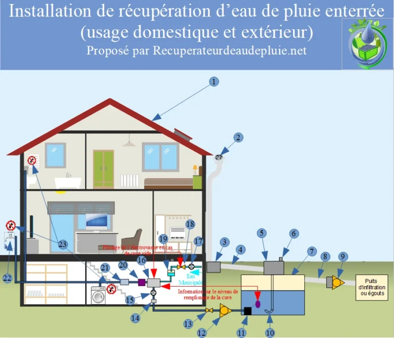 Blog Récupérateur d'eau de pluie Conseils et astuces d'expert — free download