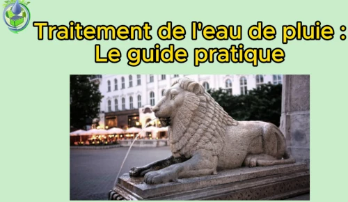 traitement eau de pluie guide pratique