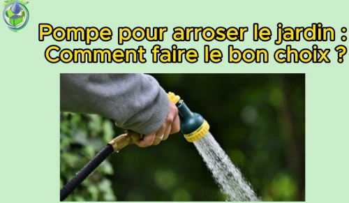pompe pour arroser le jardin comment choisir