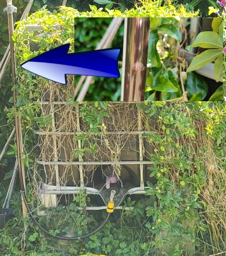 jauge de niveau fabriquée avec une tuyau transparent